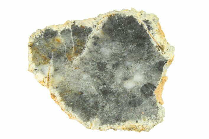 Lunar Meteorite ( g) Slice - Bechar #291686